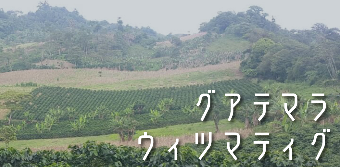 グアテマラ ウィツマティグ