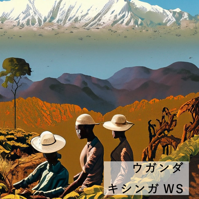ウガンダ　キシンガWS