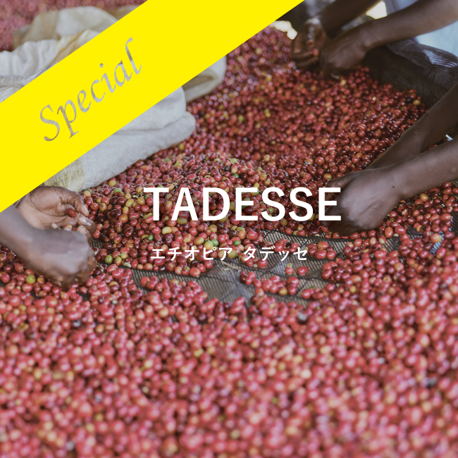 【予約受付中~12/7】エチオピア タデッセ農園 200g