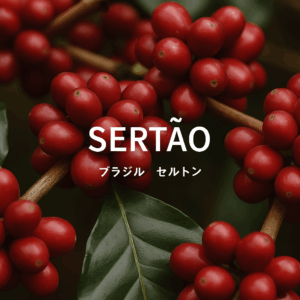 セルトン農園のサムネイル