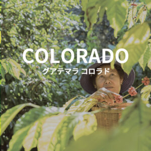 グアテマラ　リオコロラド農園のサムネイル写真