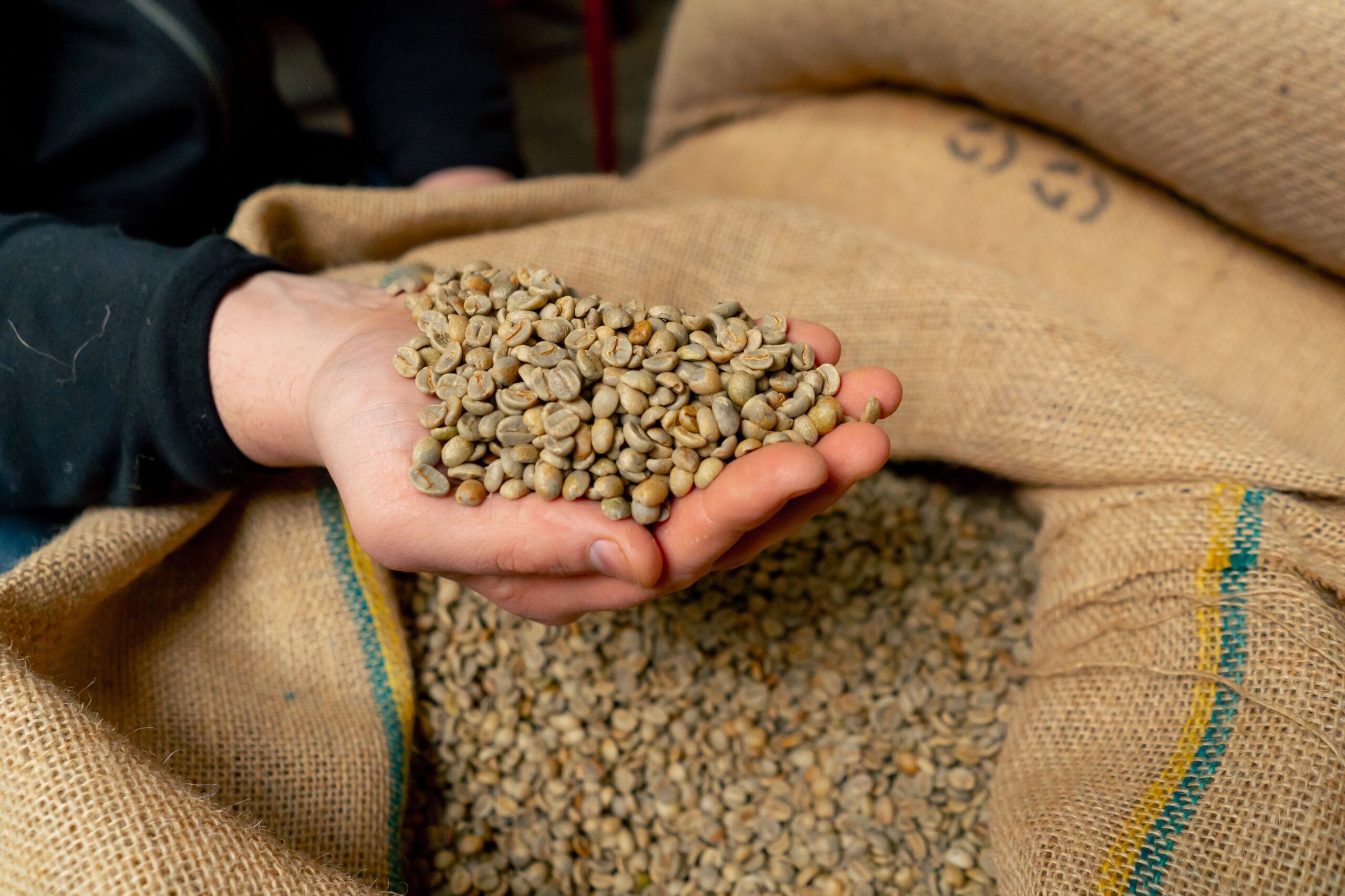 【1日10セット限定】酸味で失敗しない。「まろやかさ」保証・飲み比べ3種セット