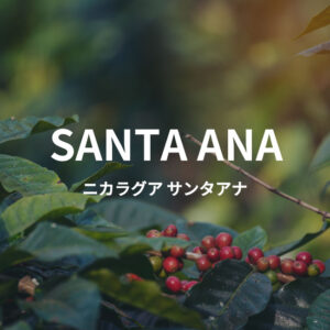 ニカラグア　サンタアナ300g