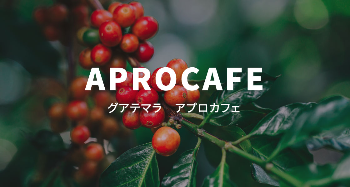 グアテマラ アプロカフェのイメージ画像