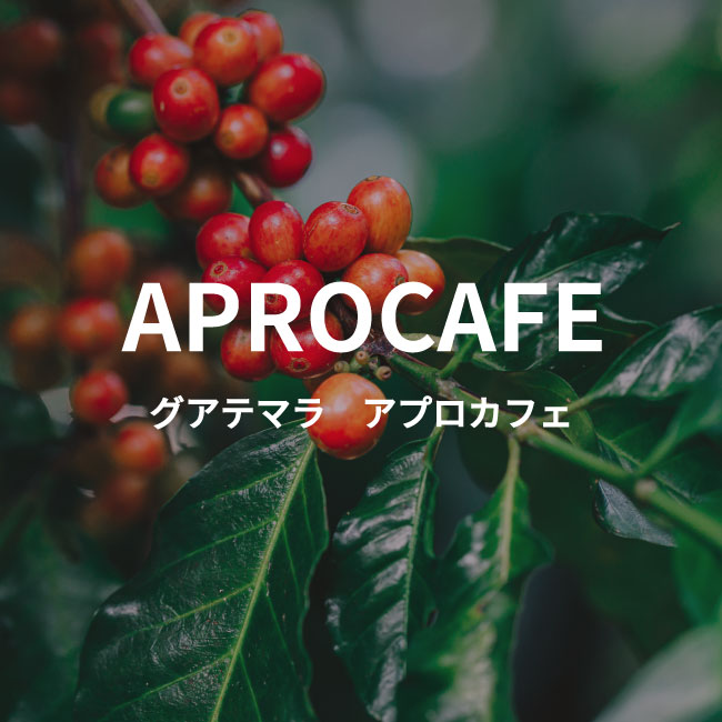 グアテマラ産スペシャルティコーヒー|アプロカフェ